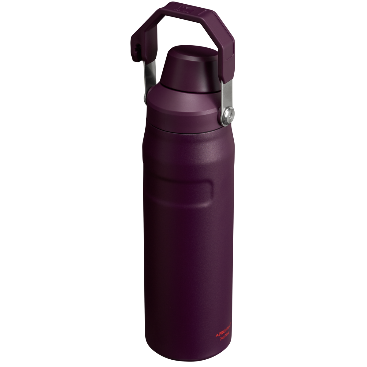 IceFlow™ Bottle with Fast Flow Lid | 24 OZ R4