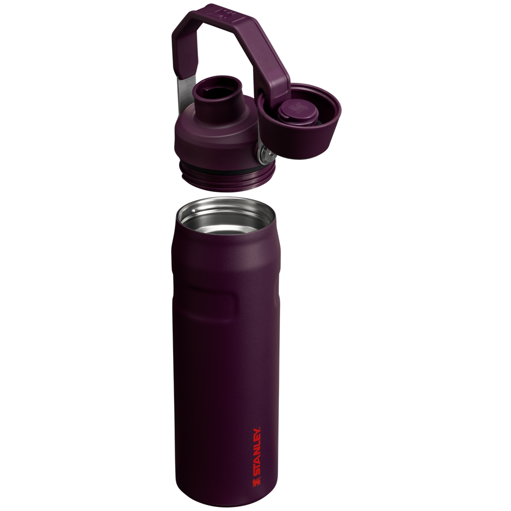 IceFlow™ Bottle with Fast Flow Lid | 24 OZ R4
