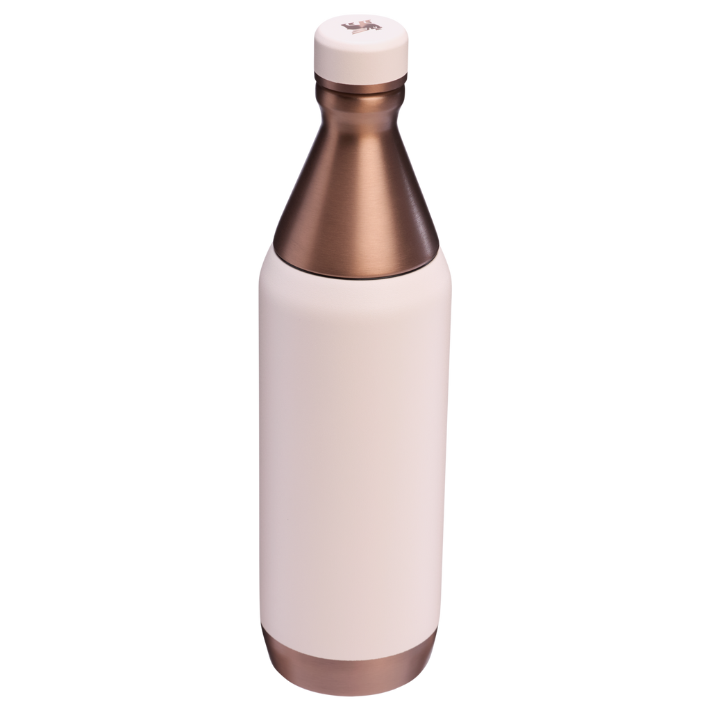 All Day Slim Bottle | 20 OZ - Stanley Create X3
