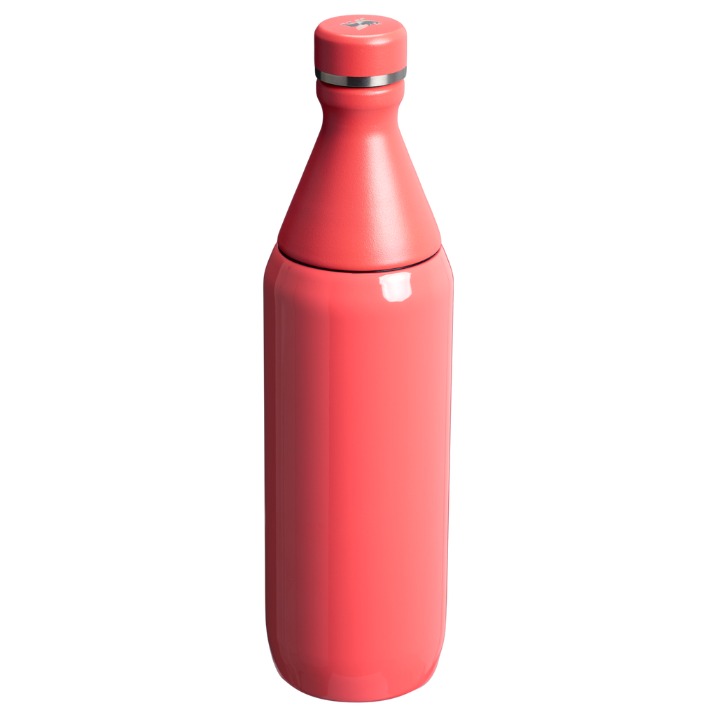 All Day Slim Bottle | 20 OZ - Stanley Create X3