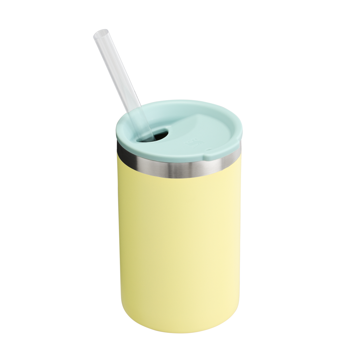 The Everyday Can Cooler Cup | 10 OZ - Stanley Create A5