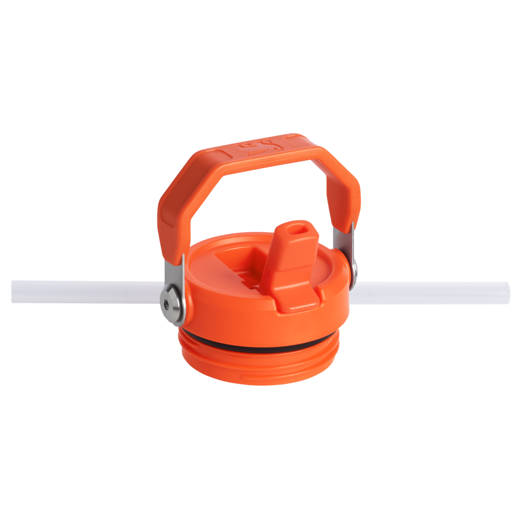 The IceFlow™ Bottle with Flip Straw Lid | 16 OZ F2