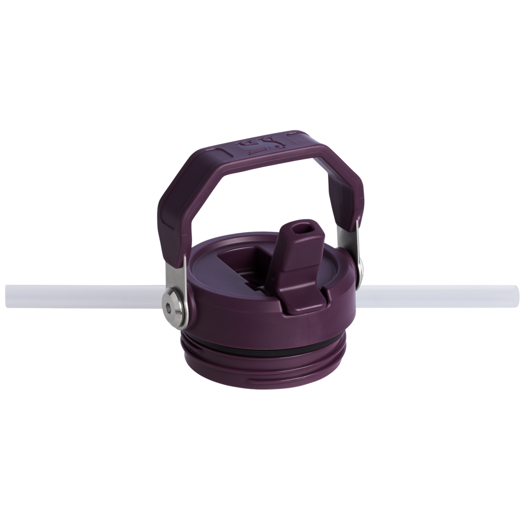 The IceFlow™ Bottle with Flip Straw Lid | 24 OZ L3