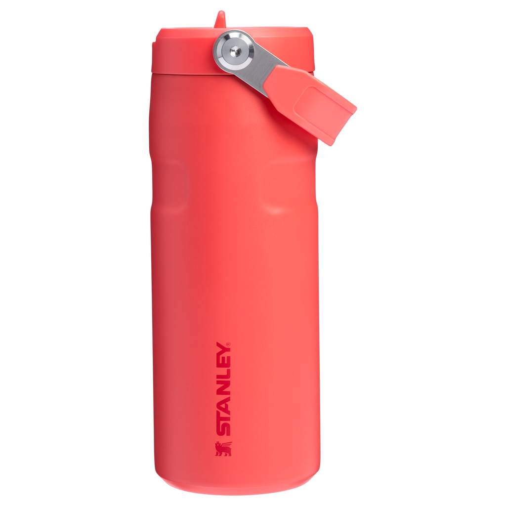 The IceFlow™ Bottle with Flip Straw Lid | 16 OZ F2