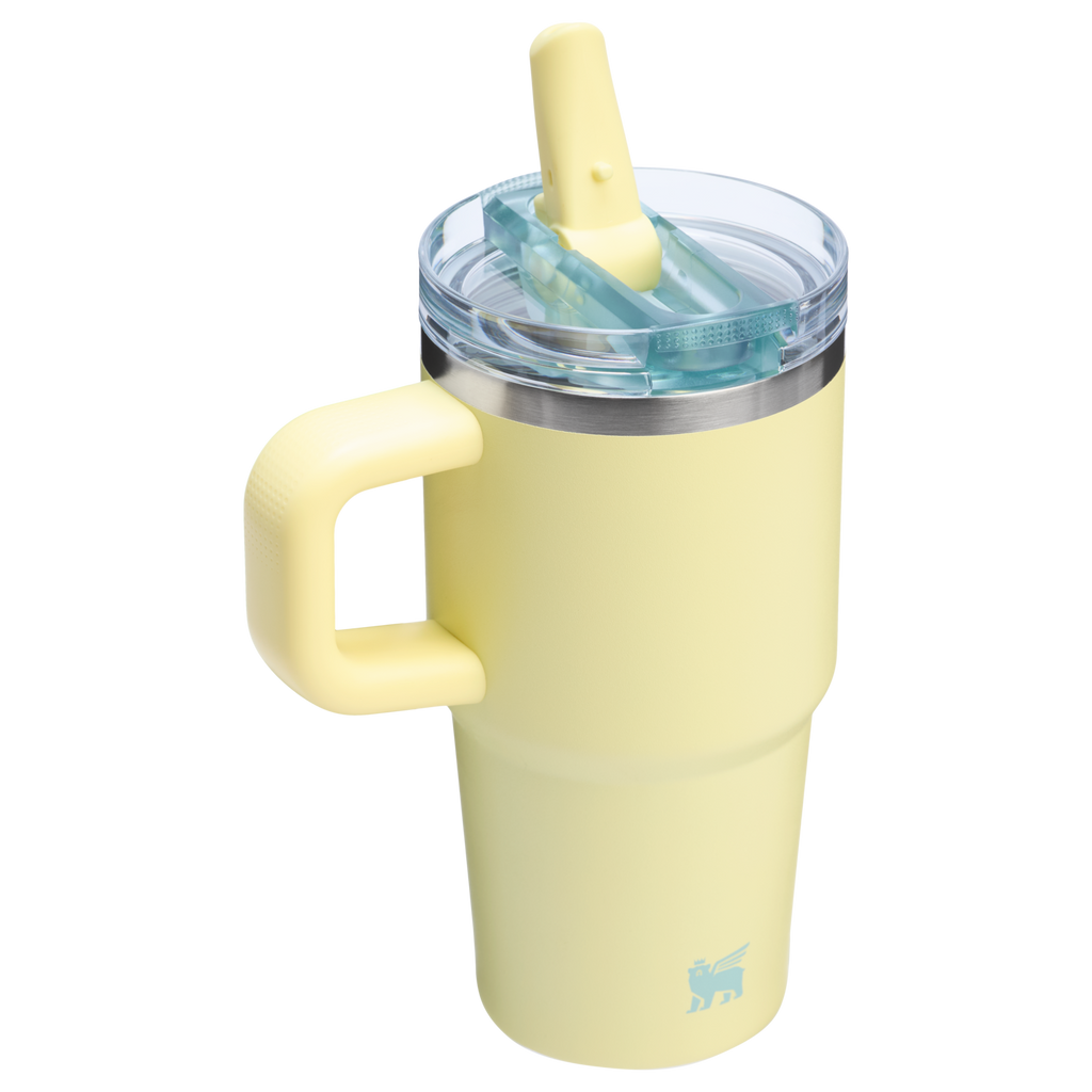 The Quencher ProTour Flip Straw Tumbler | 20 OZ - Stanley Create D9
