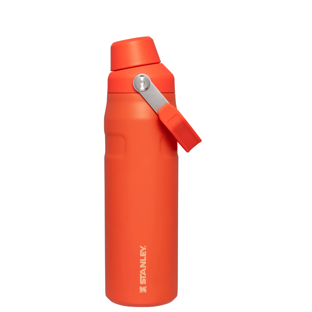 IceFlow™ Bottle with Fast Flow Lid | 24 OZ R4